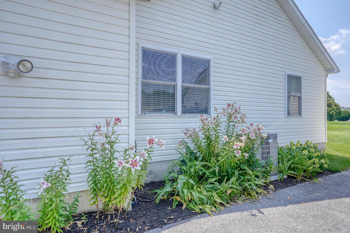 DESU2089602-803988616830-2025-07-05-11-53-43 30515 Osprey Rd. | Milton, DE Real Estate For Sale | MLS# Desu2089602  - Jack Lingo REALTOR