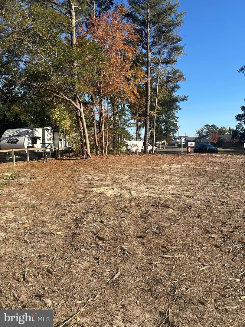 DESU2089698-803977677910-2025-07-01-16-19-31 41 Myrtle Ave | Millsboro, DE Real Estate For Sale | MLS# Desu2089698  - Jack Lingo REALTOR