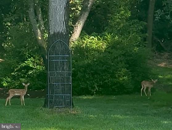 DESU2089744-803985231260-2026-03-24-16-41-58 5 Rivers End Dr | Seaford, DE Real Estate For Sale | MLS# Desu2089744  - Jack Lingo REALTOR