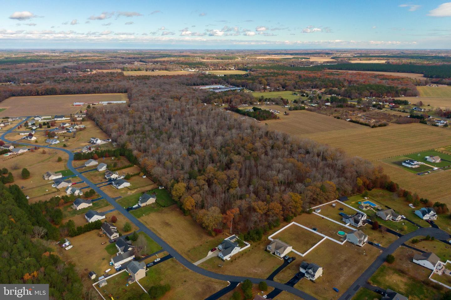 48.1 ACRES MORRIS MILL RD, MILLSBORO, DE - Jack Lingo Realtor