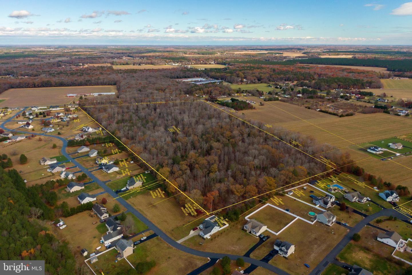 DESU2089822-803982360338-2025-07-09-07-59-01 48.1 Acres Morris Mill Rd | Millsboro, DE Real Estate For Sale | MLS# Desu2089822  - Jack Lingo REALTOR