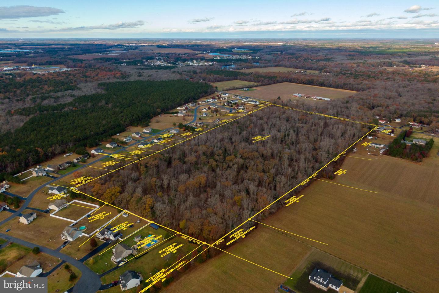 DESU2089822-803982360346-2025-07-09-07-59-01 48.1 Acres Morris Mill Rd | Millsboro, DE Real Estate For Sale | MLS# Desu2089822  - Jack Lingo REALTOR