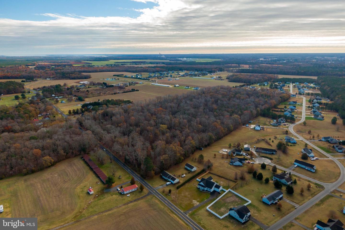 DESU2089822-803982360350-2025-07-09-07-59-01 48.1 Acres Morris Mill Rd | Millsboro, DE Real Estate For Sale | MLS# Desu2089822  - Jack Lingo REALTOR