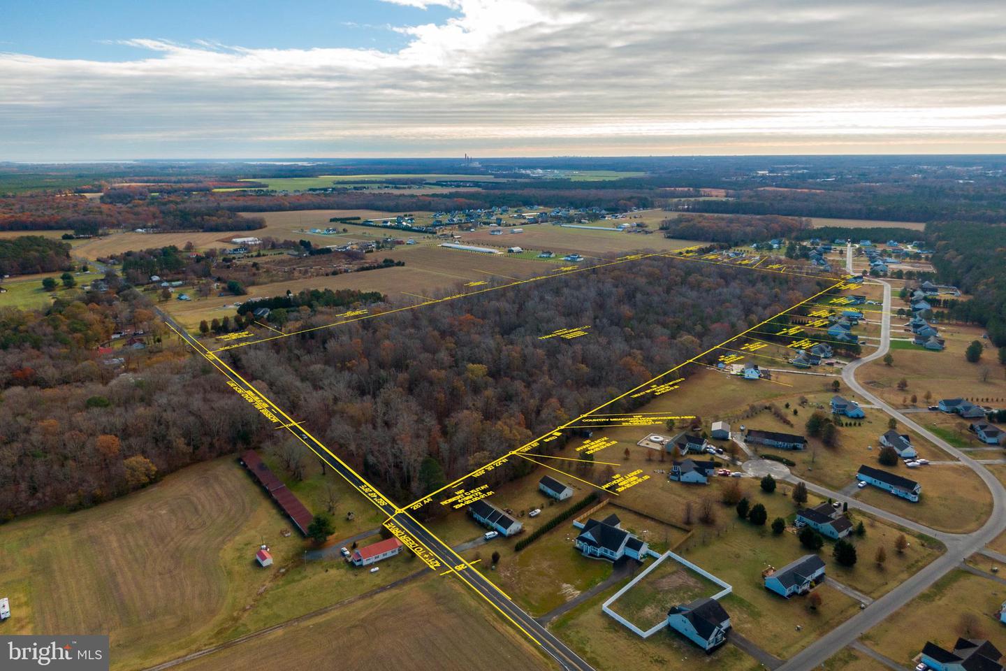 DESU2089822-803982360354-2025-07-09-07-59-00 48.1 Acres Morris Mill Rd | Millsboro, DE Real Estate For Sale | MLS# Desu2089822  - Jack Lingo REALTOR