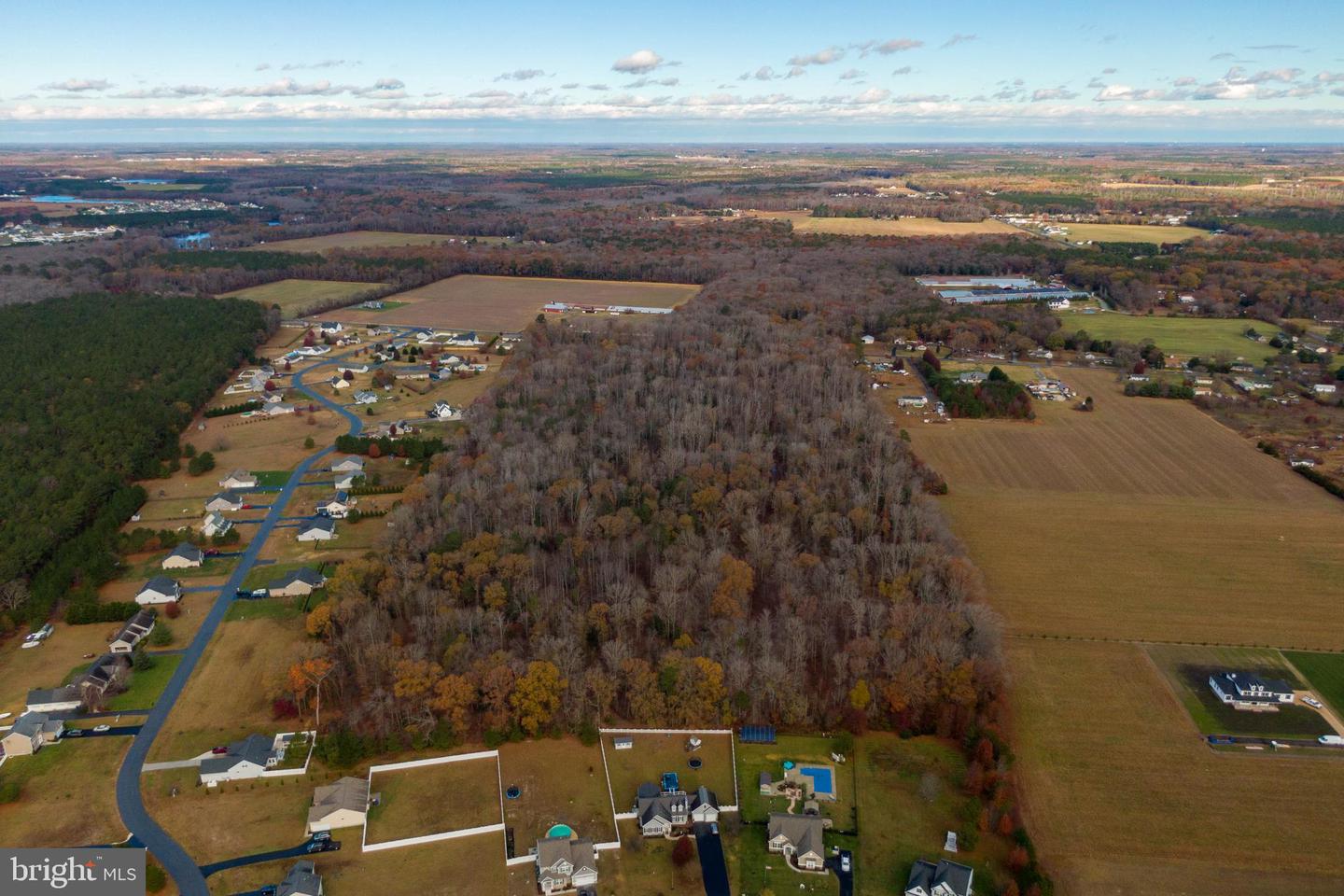 DESU2089822-803982360358-2025-07-09-07-59-00 48.1 Acres Morris Mill Rd | Millsboro, DE Real Estate For Sale | MLS# Desu2089822  - Jack Lingo REALTOR