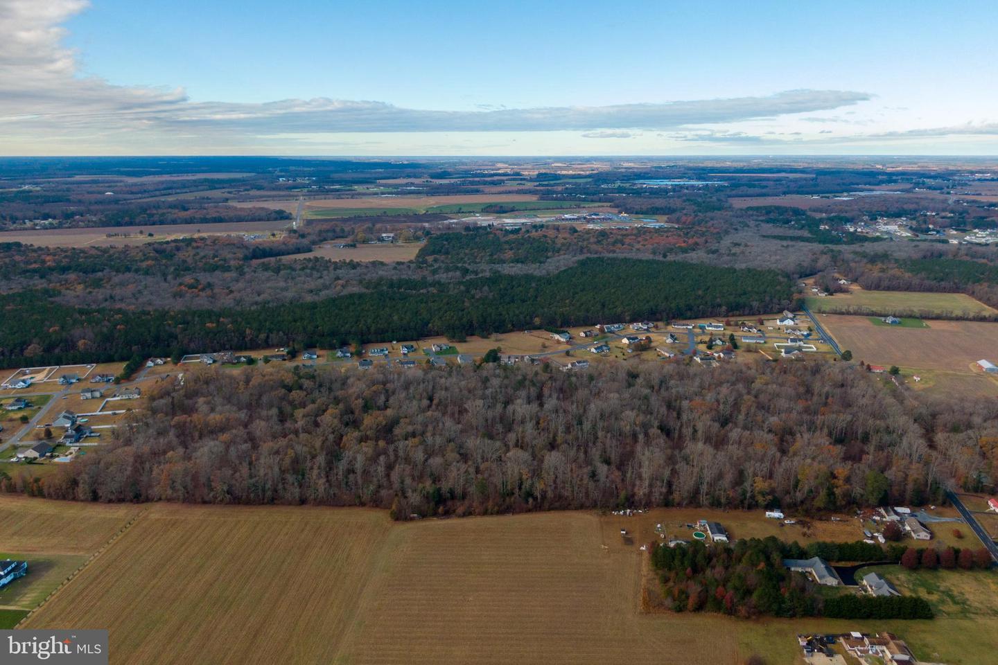 DESU2089822-803982360362-2025-07-09-07-59-00 48.1 Acres Morris Mill Rd | Millsboro, DE Real Estate For Sale | MLS# Desu2089822  - Jack Lingo REALTOR