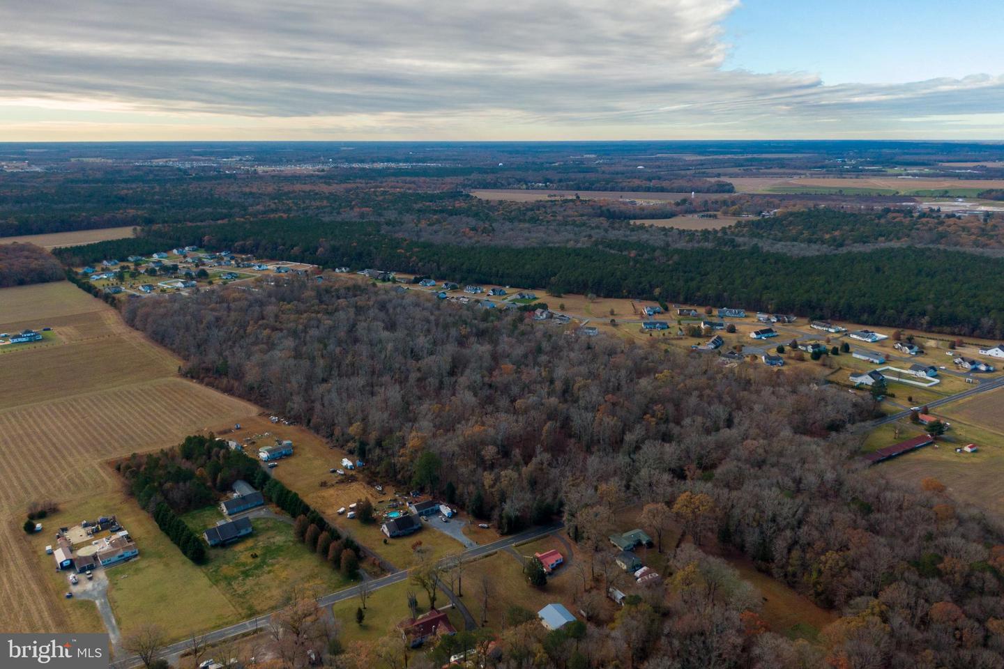 DESU2089822-803982360366-2025-07-09-07-59-00 48.1 Acres Morris Mill Rd | Millsboro, DE Real Estate For Sale | MLS# Desu2089822  - Jack Lingo REALTOR