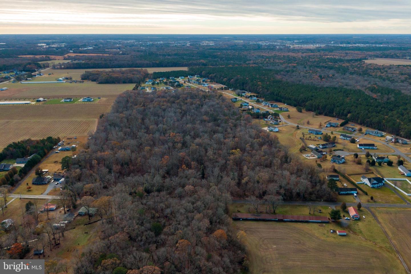 DESU2089822-803982360370-2025-07-09-07-59-01 48.1 Acres Morris Mill Rd | Millsboro, DE Real Estate For Sale | MLS# Desu2089822  - Jack Lingo REALTOR