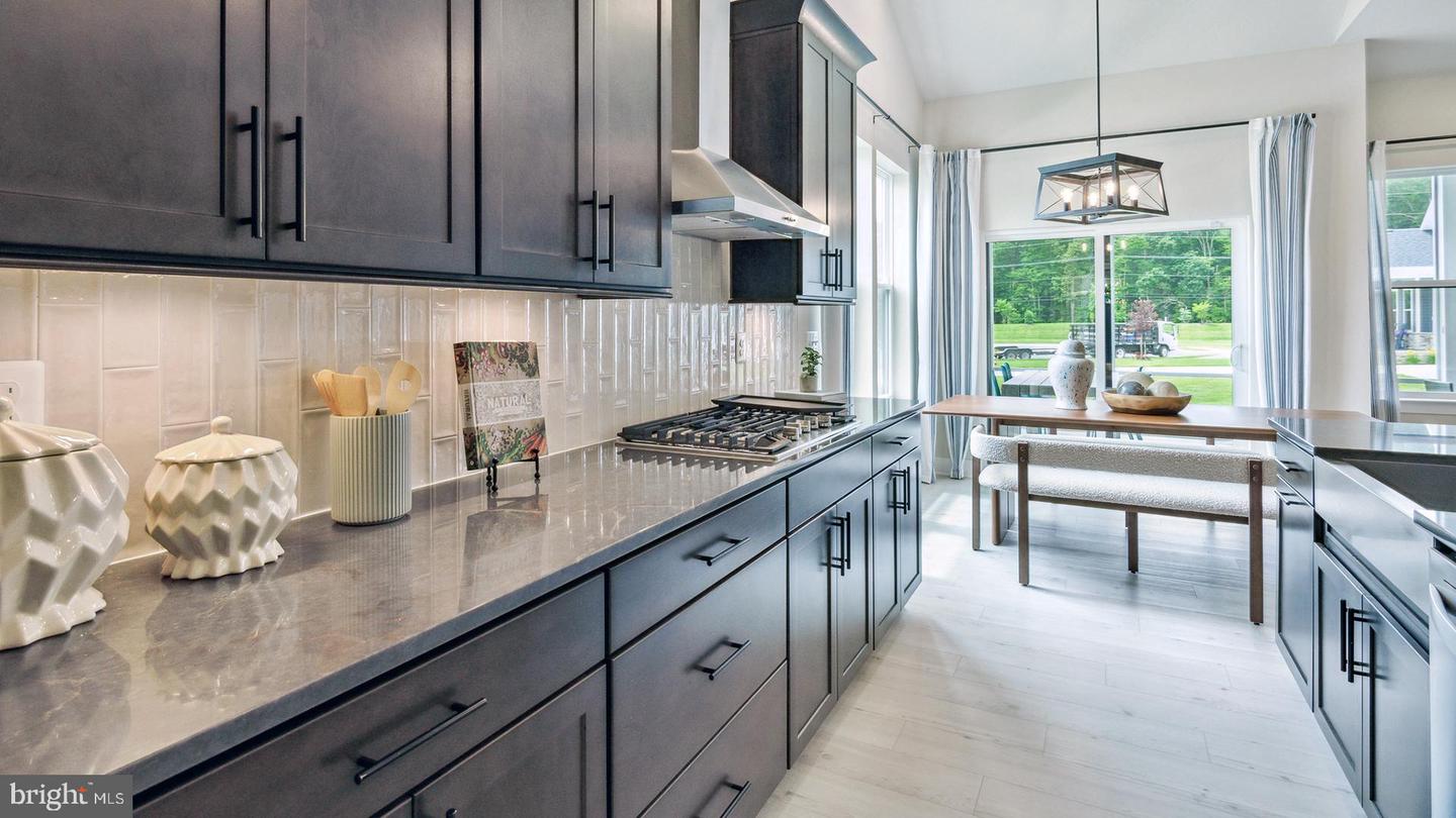 DESU2089836-803983042966-2025-07-06-08-44-03 Homesite 62 Kenmare Way | Lewes, DE Real Estate For Sale | MLS# Desu2089836  - Jack Lingo REALTOR