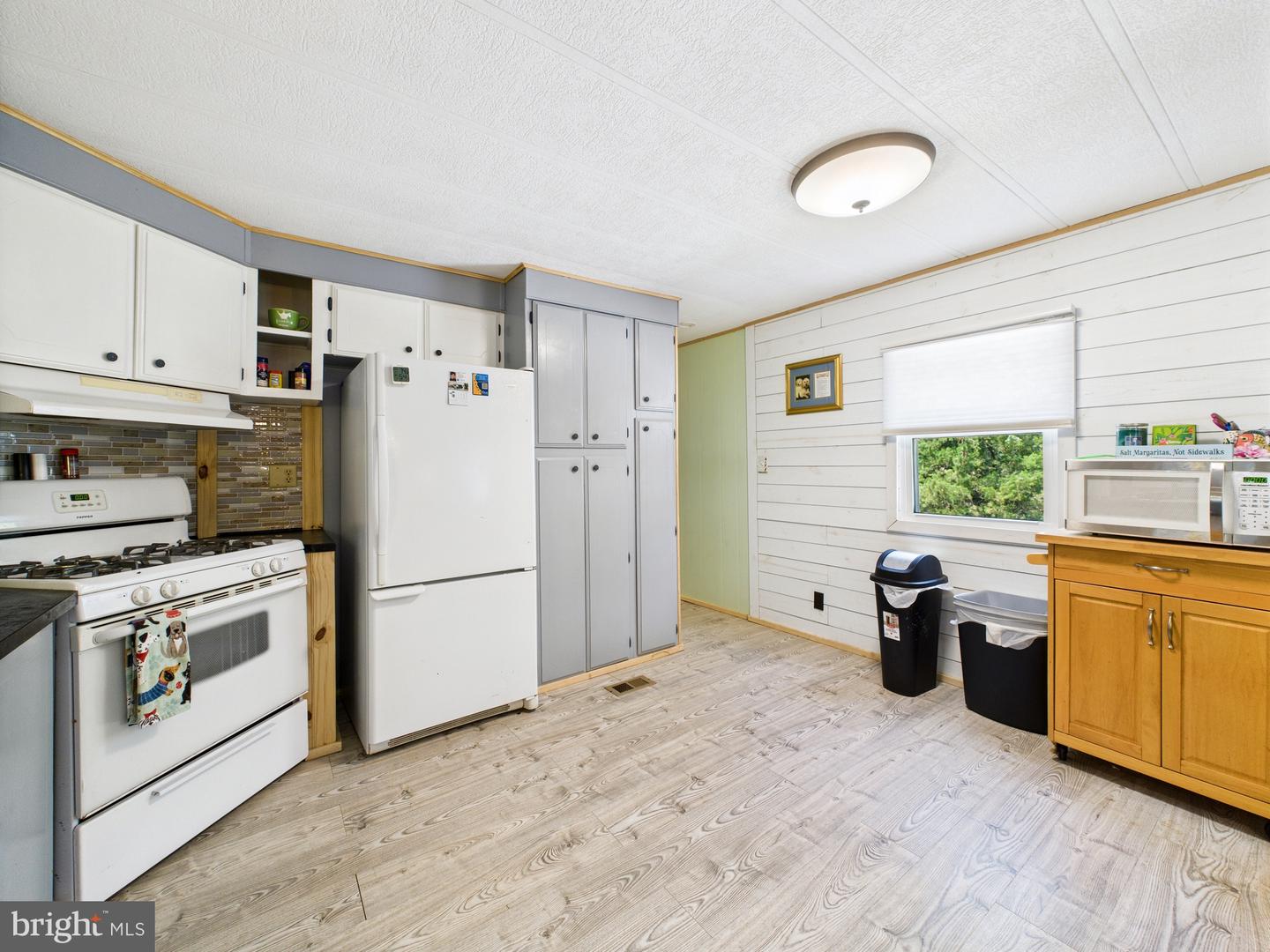 DESU2089916-803983660874-2025-07-09-11-27-07 26141 Hollyberry | Millsboro, DE Real Estate For Sale | MLS# Desu2089916  - Jack Lingo REALTOR