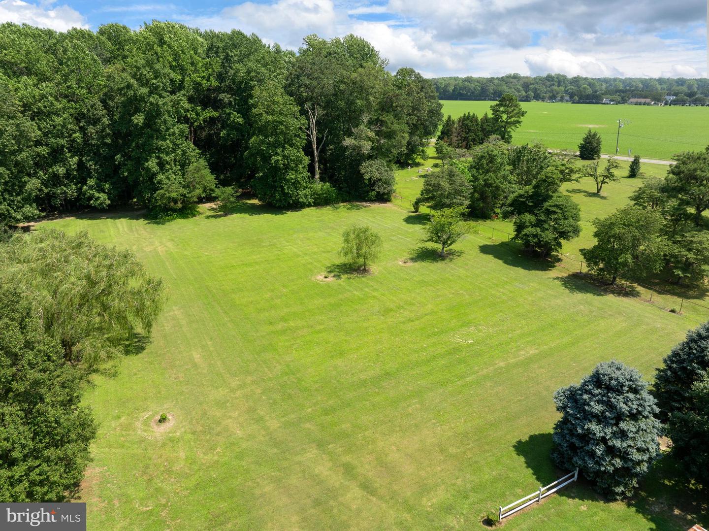 DESU2089982-804059431462-2025-08-05-00-08-10 20563 Beaver Dam Rd | Harbeson, DE Real Estate For Sale | MLS# Desu2089982 - Jack Lingo REALTOR DESU2089982-804059431462-2025-08-05-00-08-10 20563 Beaver Dam Rd | Harbeson, DE Real Estate For Sale | MLS# Desu2089982 - Jack Lingo REALTOR