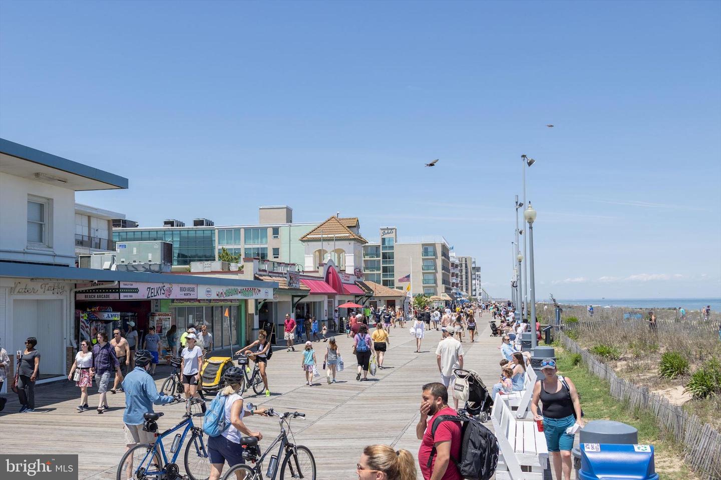 DESU2090054-804288754026-2025-11-03-14-51-26 8 Curlew Ct | Rehoboth Beach, DE Real Estate For Sale | MLS# Desu2090054 - Jack Lingo REALTOR DESU2090054-804288754026-2025-11-03-14-51-26 8 Curlew Ct | Rehoboth Beach, DE Real Estate For Sale | MLS# Desu2090054 - Jack Lingo REALTOR