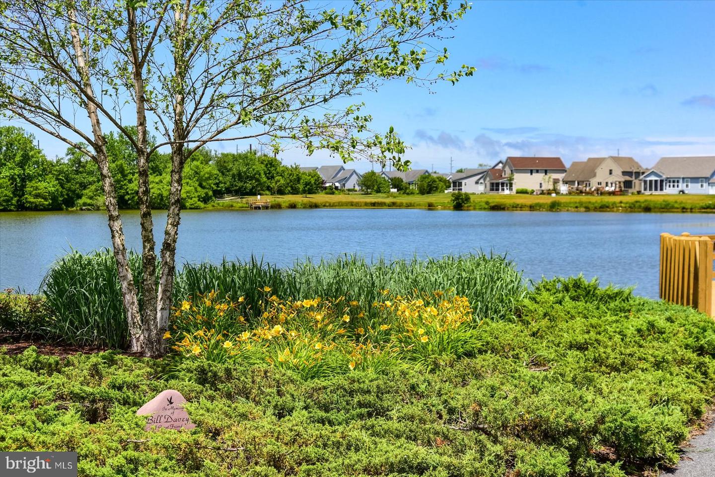 DESU2090148-803993461744-2025-07-09-09-46-57 36551 Calm Water Dr | Millville, DE Real Estate For Sale | MLS# Desu2090148  - Jack Lingo REALTOR