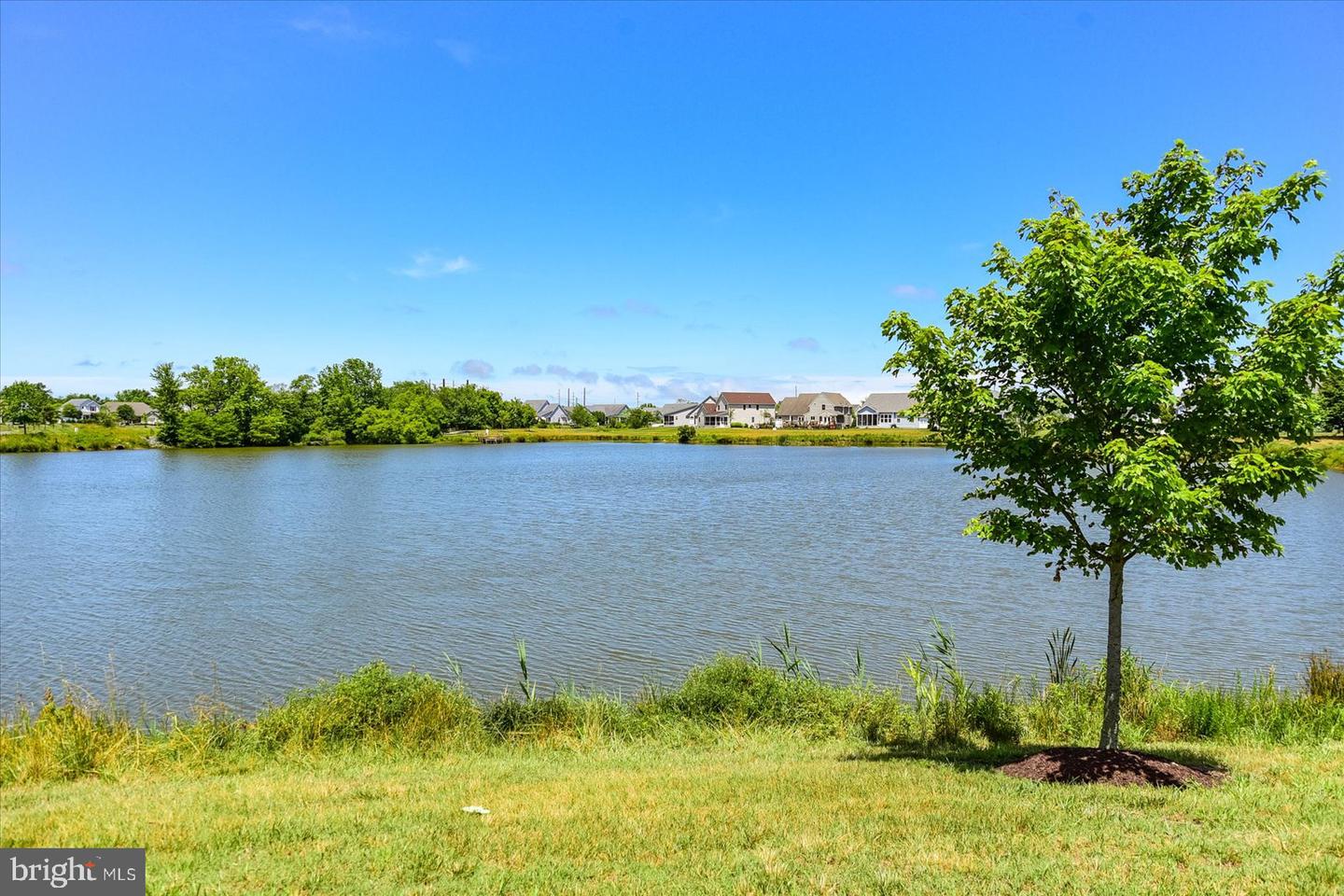 DESU2090148-803993461782-2025-07-09-09-46-54 36551 Calm Water Dr | Millville, DE Real Estate For Sale | MLS# Desu2090148  - Jack Lingo REALTOR