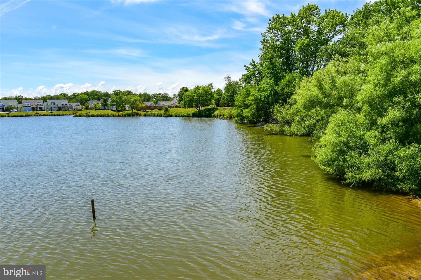 DESU2090148-803993461848-2025-07-09-09-46-56 36551 Calm Water Dr | Millville, DE Real Estate For Sale | MLS# Desu2090148  - Jack Lingo REALTOR