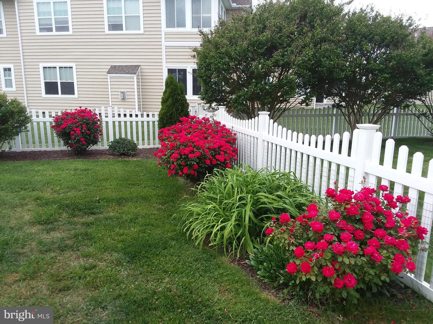 DESU2090156-803999221594-2025-07-11-00-12-11 14 Clearview Dr | Milford, DE Real Estate For Sale | MLS# Desu2090156  - Jack Lingo REALTOR