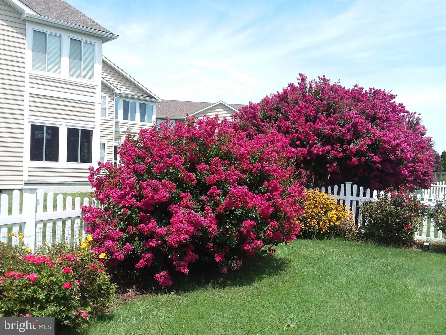 DESU2090156-803999263812-2025-10-03-14-29-43 14 Clearview Dr | Milford, DE Real Estate For Sale | MLS# Desu2090156  - Jack Lingo REALTOR