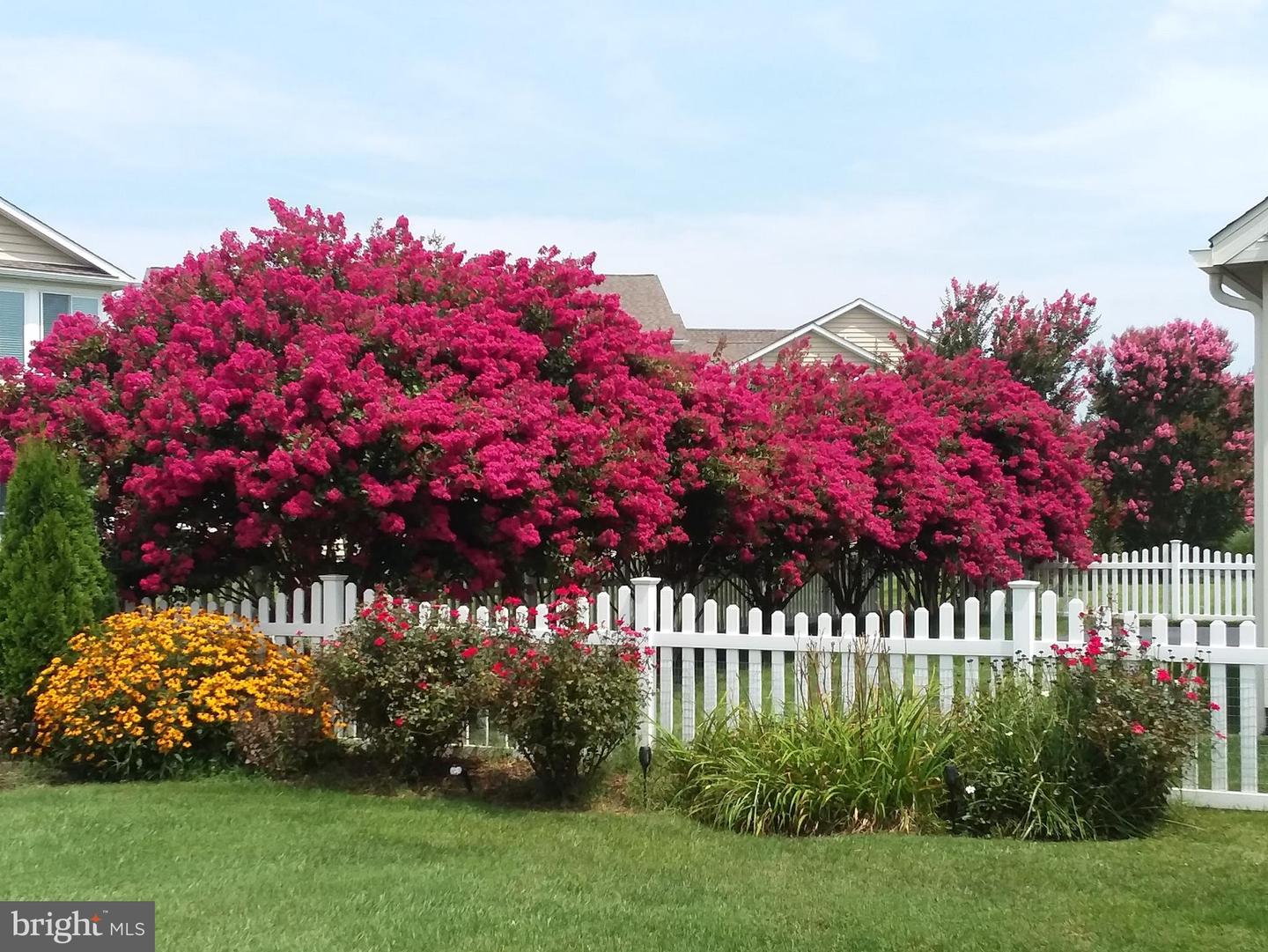 DESU2090156-803999263850-2025-10-03-14-29-43 14 Clearview Dr | Milford, DE Real Estate For Sale | MLS# Desu2090156  - Jack Lingo REALTOR