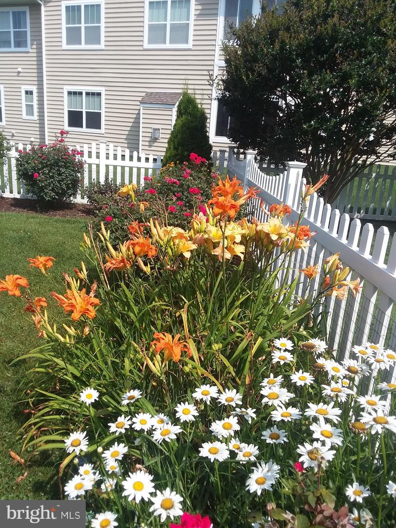 DESU2090156-803999264052-2025-10-03-14-29-43 14 Clearview Dr | Milford, DE Real Estate For Sale | MLS# Desu2090156  - Jack Lingo REALTOR