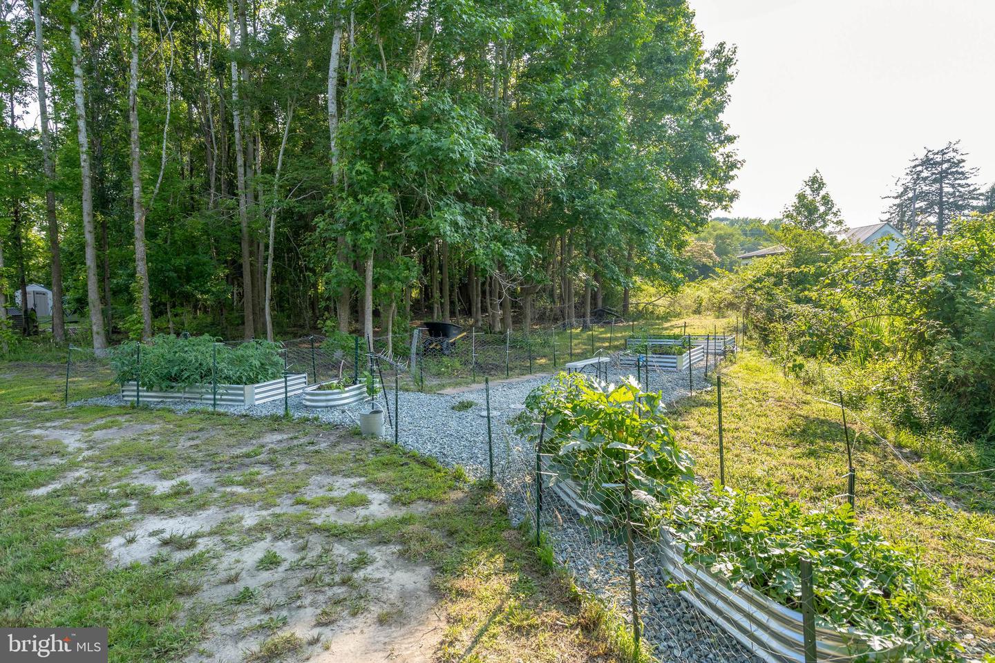 DESU2090258-804003375392-2025-07-11-06-29-15 38155 Muddy Neck Rd | Ocean View, DE Real Estate For Sale | MLS# Desu2090258  - Jack Lingo REALTOR