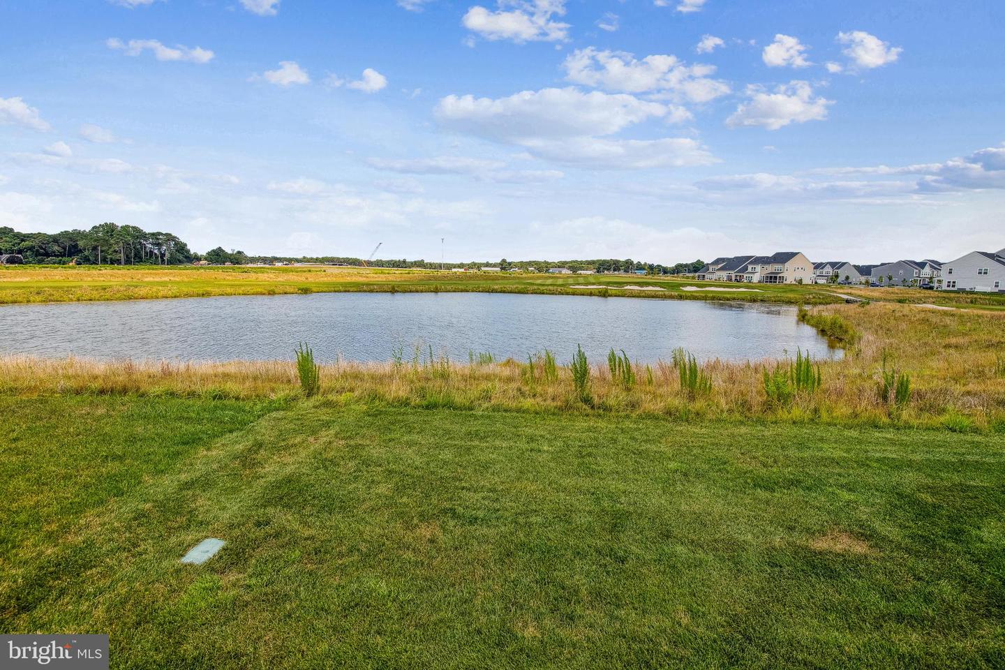 DESU2090264-804013152236-2025-07-17-12-01-45 31346 Olney Way | Millsboro, DE Real Estate For Sale | MLS# Desu2090264  - Jack Lingo REALTOR
