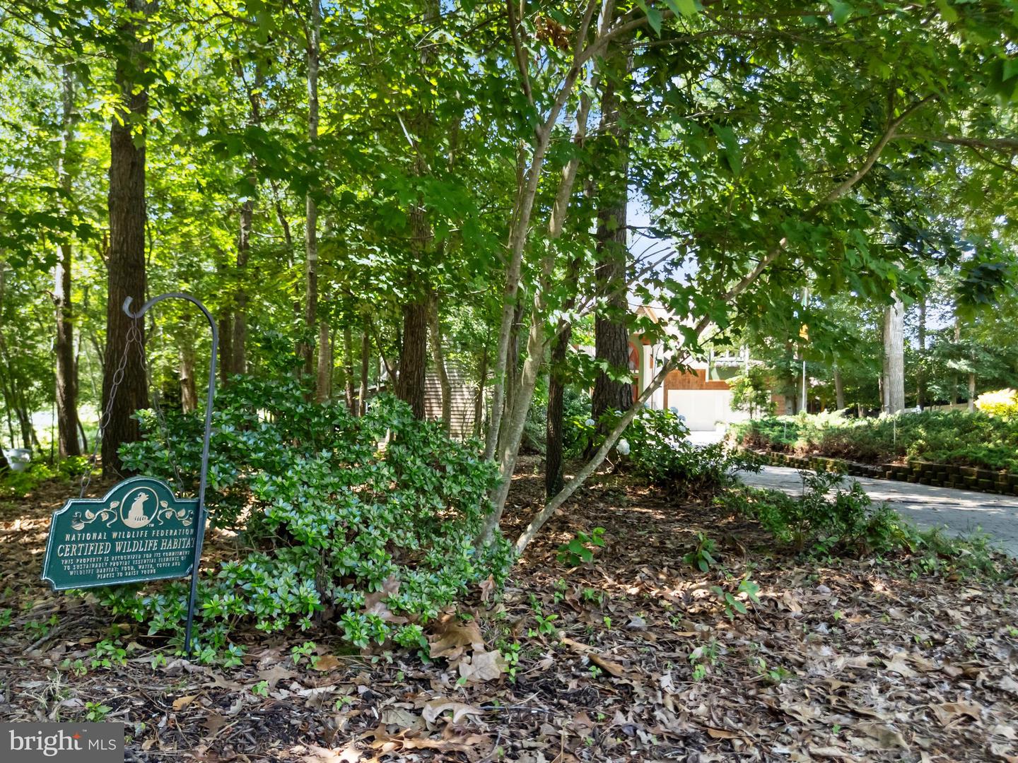 DESU2090268-803995704776-2025-07-09-09-22-01 23000 Springwood Cir | Millsboro, DE Real Estate For Sale | MLS# Desu2090268  - Jack Lingo REALTOR