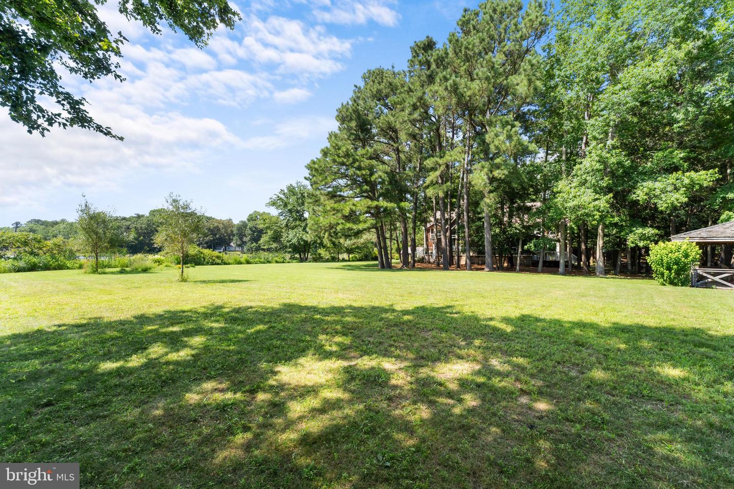 DESU2090268-803995715132-2025-07-09-09-22-00 23000 Springwood Cir | Millsboro, DE Real Estate For Sale | MLS# Desu2090268  - Jack Lingo REALTOR