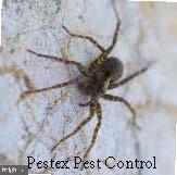 DESU2090368-804045492716-2025-07-28-14-09-24 Po Box 1431 #pestex Pest Control | Millsboro, DE Real Estate For Sale | MLS# Desu2090368  - Jack Lingo REALTOR