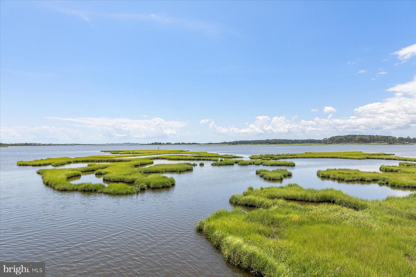 DESU2090912-804051147050-2025-07-30-15-53-10 34980 Hassell Avenue Ext | Bethany Beach, DE Real Estate For Sale | MLS# Desu2090912  - Jack Lingo REALTOR
