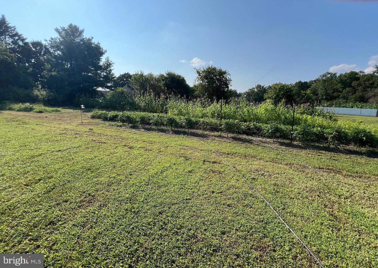 DESU2091216-804032594420-2025-07-23-09-24-07 34788 Susan Beach Rd | Laurel, DE Real Estate For Sale | MLS# Desu2091216  - Jack Lingo REALTOR