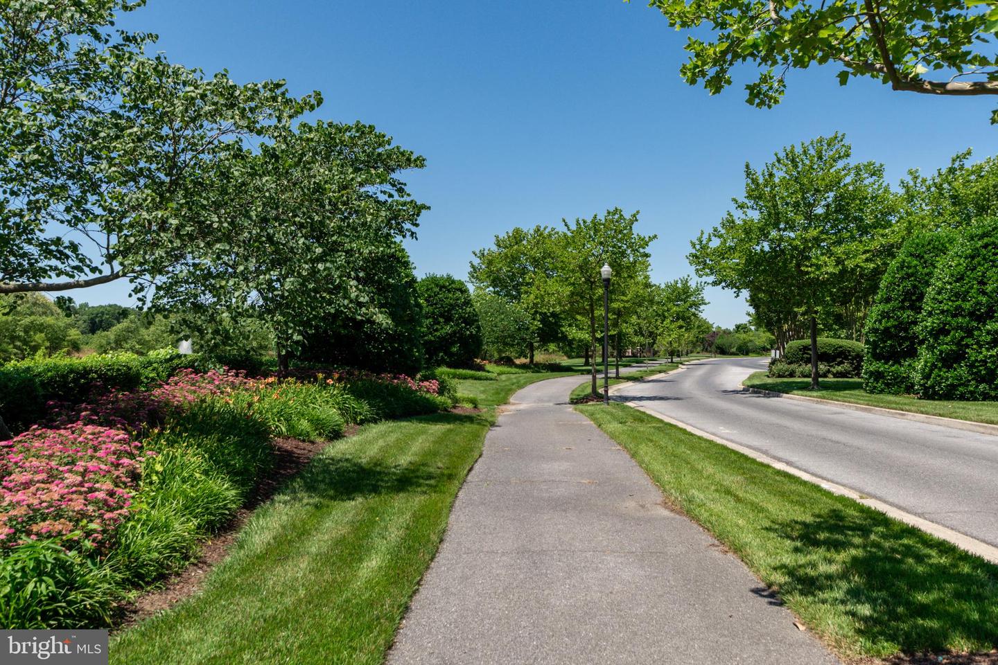 DESU2091384-804043523914-2026-03-24-12-38-15 3 Amandas Teal Dr | Bridgeville, DE Real Estate For Sale | MLS# Desu2091384  - Jack Lingo REALTOR