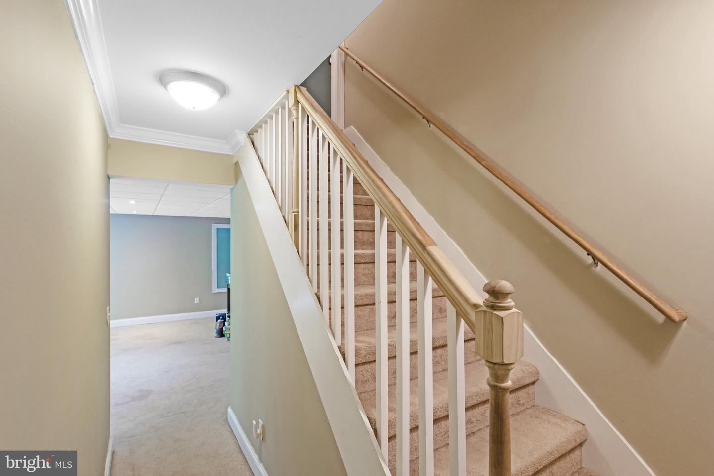 DESU2091660-804070452654-2025-08-07-09-05-10 33015 Forest Knoll Dr | Laurel, DE Real Estate For Sale | MLS# Desu2091660  - Jack Lingo REALTOR