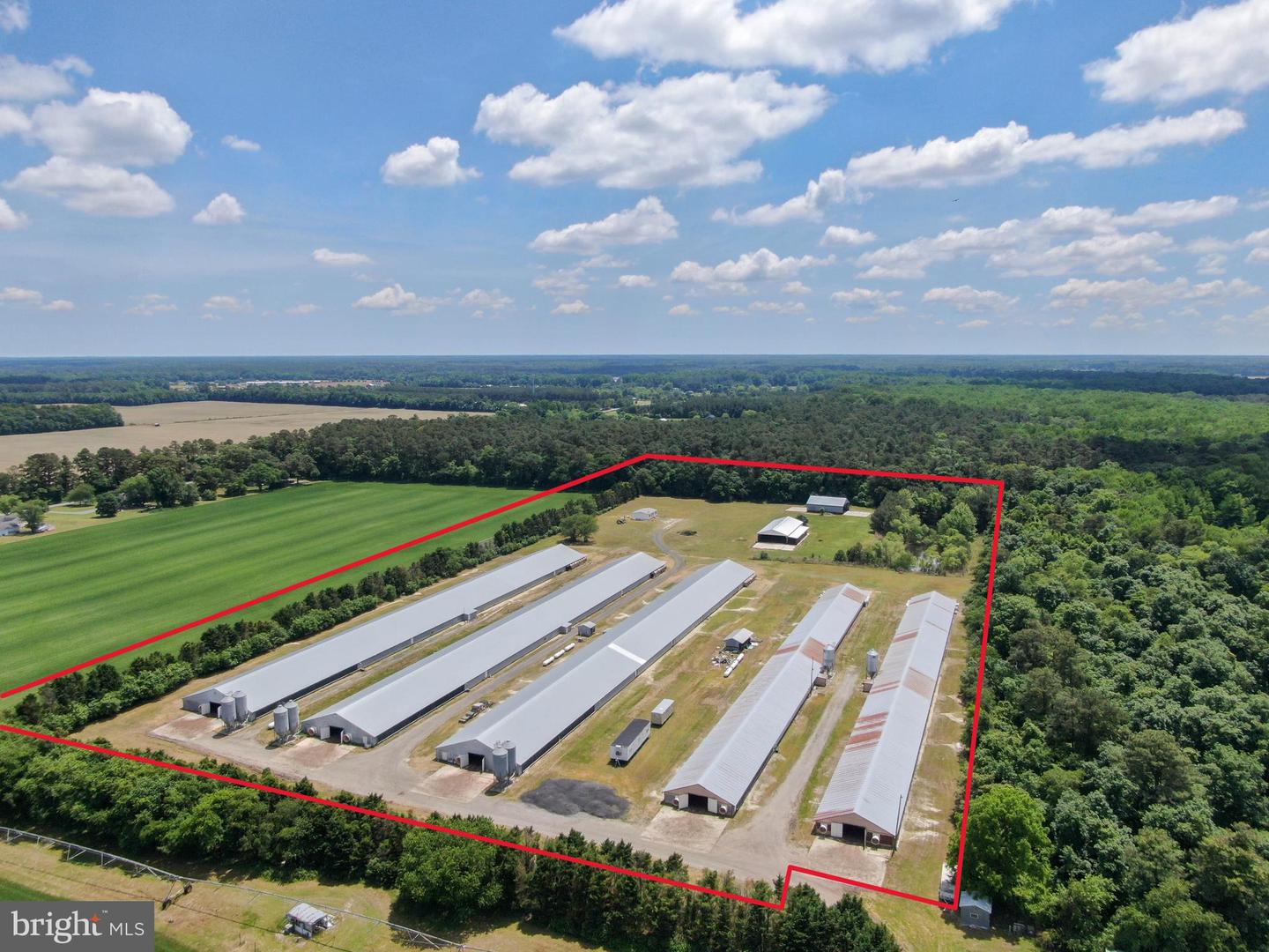 33950 EVANS RD, LAUREL, DE - Jack Lingo Realtor