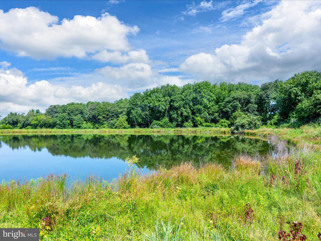 DESU2091672-804052872620-2025-08-04-00-09-43 16808 Hunters Turn | Lewes, DE Real Estate For Sale | MLS# Desu2091672  - Jack Lingo REALTOR