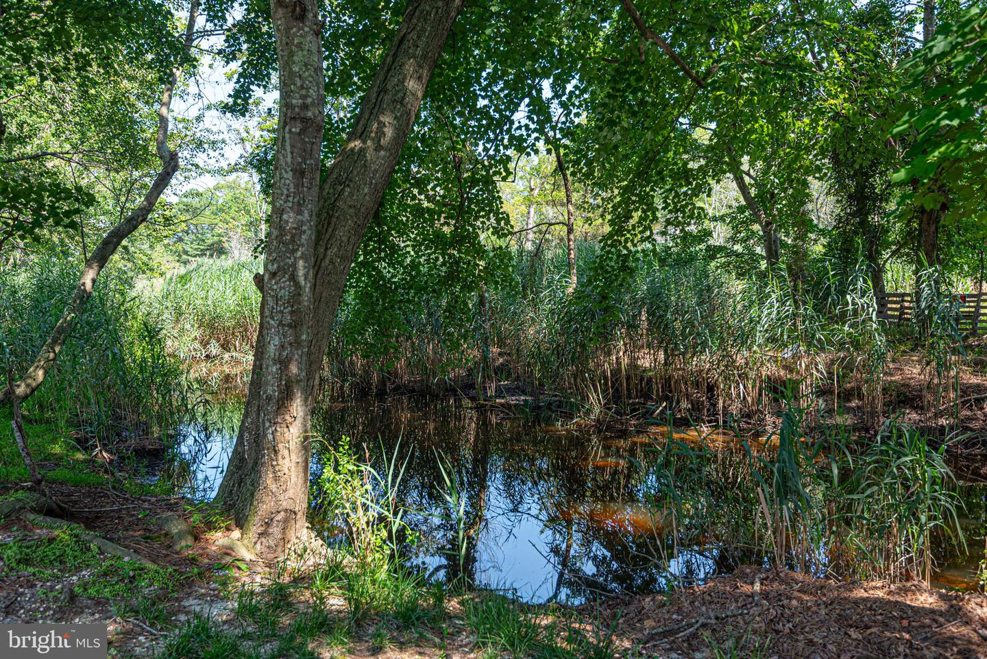 DESU2091674-804049517840-2025-07-31-00-26-29 31828 Mill Run Drive | Ocean View, DE Real Estate For Sale | MLS# Desu2091674  - Jack Lingo REALTOR