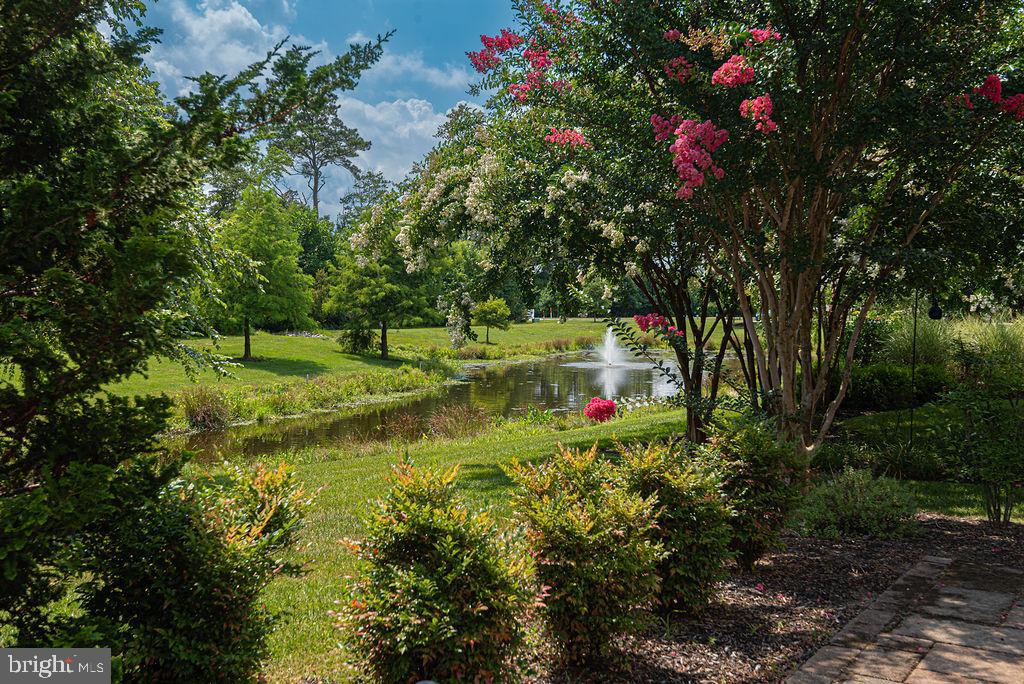 DESU2091764-804057422430-2025-12-10-18-52-02 30134 Islander Beach Rd | Frankford, DE Real Estate For Sale | MLS# Desu2091764 - Jack Lingo REALTOR DESU2091764-804057422430-2025-12-10-18-52-02 30134 Islander Beach Rd | Frankford, DE Real Estate For Sale | MLS# Desu2091764 - Jack Lingo REALTOR