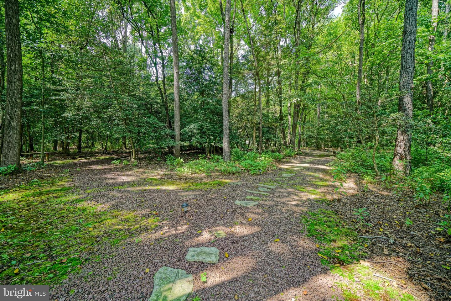 DESU2091770-804066468364-2025-08-05-15-49-36 23761 Winding Way | Milton, DE Real Estate For Sale | MLS# Desu2091770  - Jack Lingo REALTOR