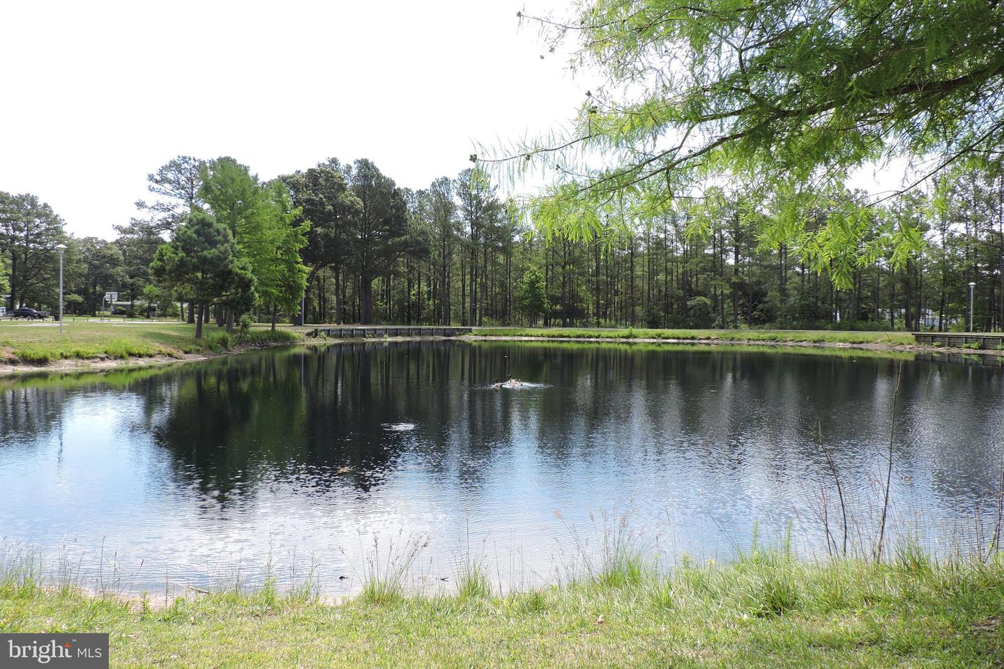 DESU2091794-804054600596-2025-07-31-14-32-19 34224 Green Holly Rd #180 | Long Neck, DE Real Estate For Sale | MLS# Desu2091794  - Jack Lingo REALTOR