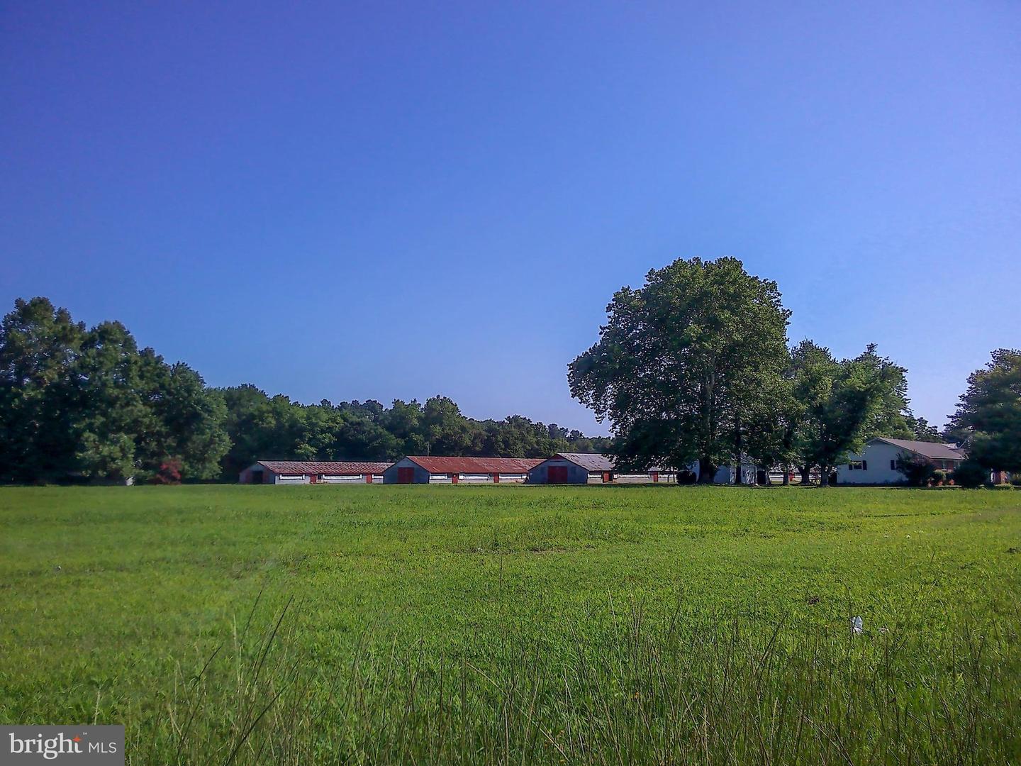 DESU2091840-804051505166-2025-07-30-14-36-26 9419 & 9393 Airport Rd,  26635 Linwood Dr & N Rt 488 | Seaford, DE Real Estate For Sale | MLS# Desu2091840  - Jack Lingo REALTOR