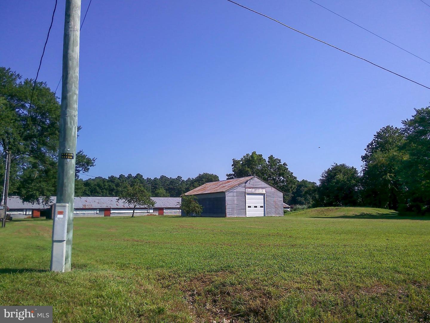 DESU2091840-804051505174-2025-07-30-14-36-27 9419 & 9393 Airport Rd,  26635 Linwood Dr & N Rt 488 | Seaford, DE Real Estate For Sale | MLS# Desu2091840  - Jack Lingo REALTOR