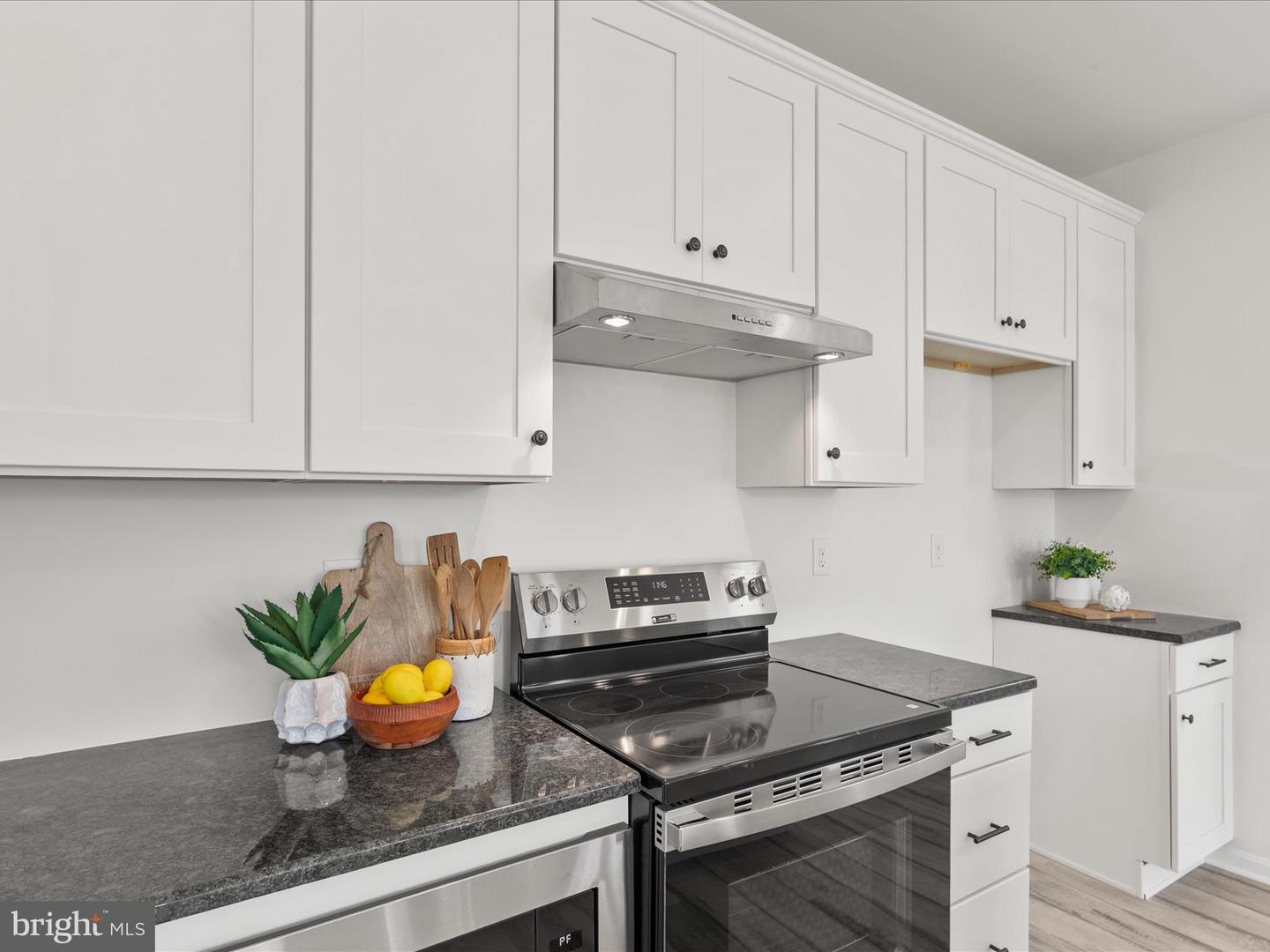 DESU2091870-804053016108-2025-07-31-12-56-20 205 Hay St | Milton, DE Real Estate For Sale | MLS# Desu2091870  - Jack Lingo REALTOR