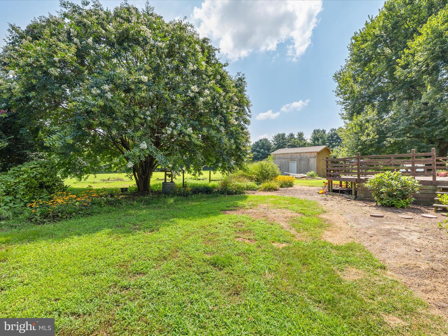 DESU2091918-804054923050-2025-07-31-15-16-15 28495 Fire Tower Rd | Laurel, DE Real Estate For Sale | MLS# Desu2091918  - Jack Lingo REALTOR