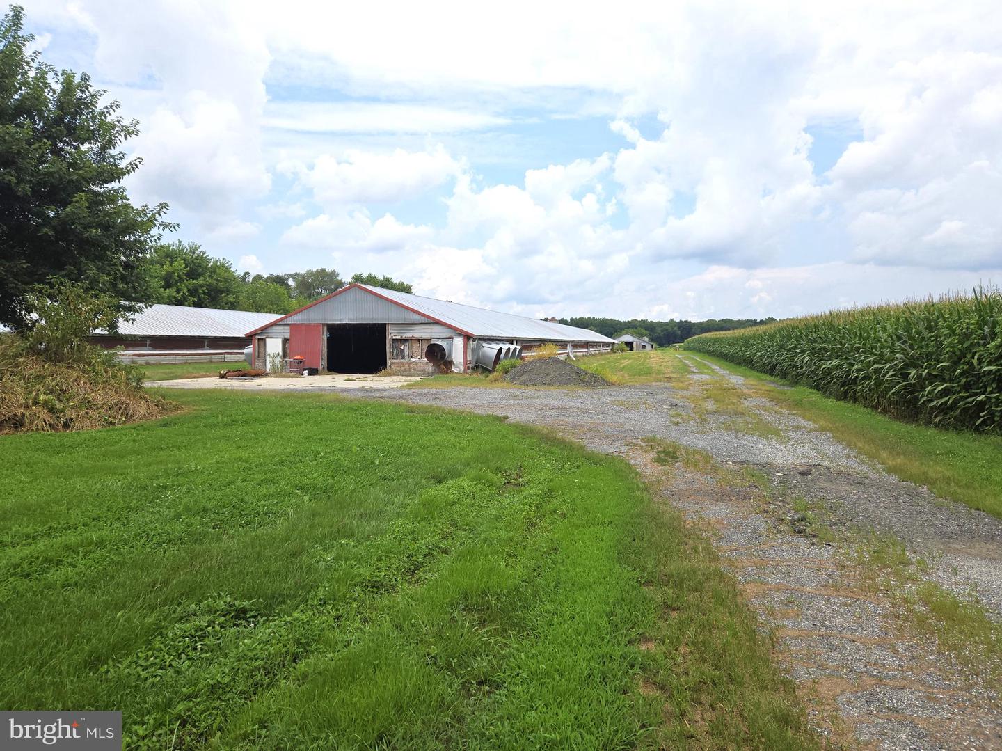 DESU2091982-804057366438-2025-08-01-12-00-46 6813 Scotts Store Rd | Greenwood, DE Real Estate For Sale | MLS# Desu2091982  - Jack Lingo REALTOR