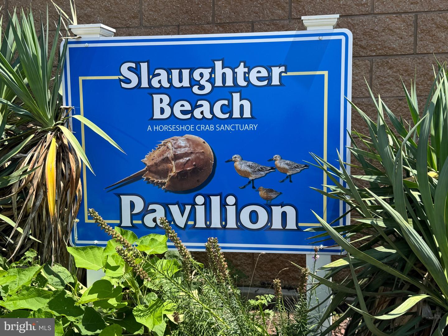 DESU2092034-804070559568-2026-03-05-18-47-26 128 Sawyer Rd | Milford, DE Real Estate For Sale | MLS# Desu2092034  - Jack Lingo REALTOR