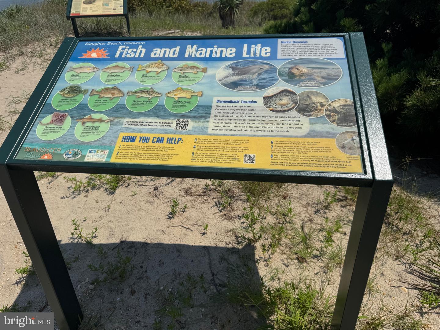 DESU2092034-804070559702-2026-03-05-18-47-26 128 Sawyer Rd | Milford, DE Real Estate For Sale | MLS# Desu2092034  - Jack Lingo REALTOR