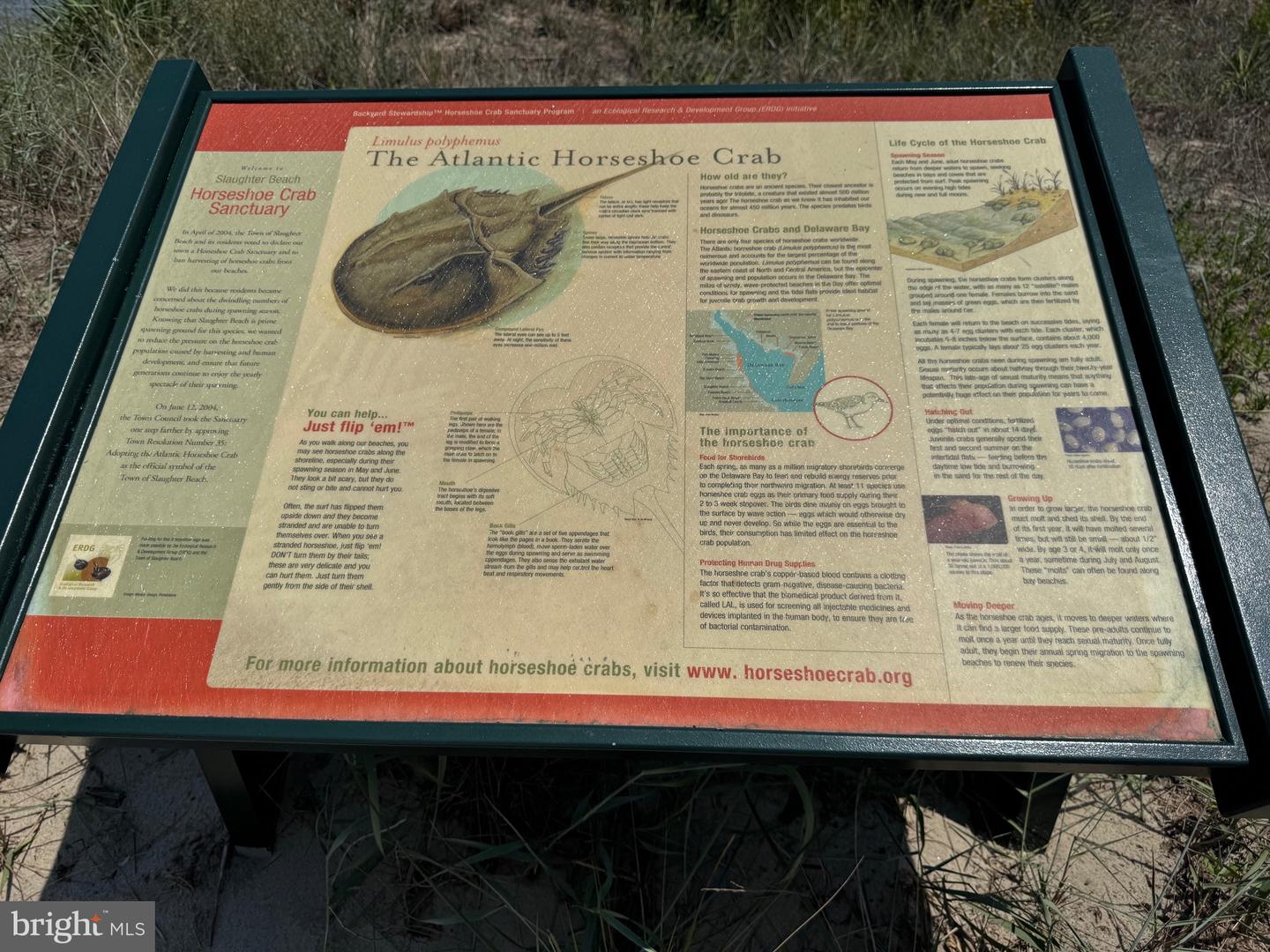 DESU2092034-804070559716-2026-03-05-18-47-25 128 Sawyer Rd | Milford, DE Real Estate For Sale | MLS# Desu2092034  - Jack Lingo REALTOR