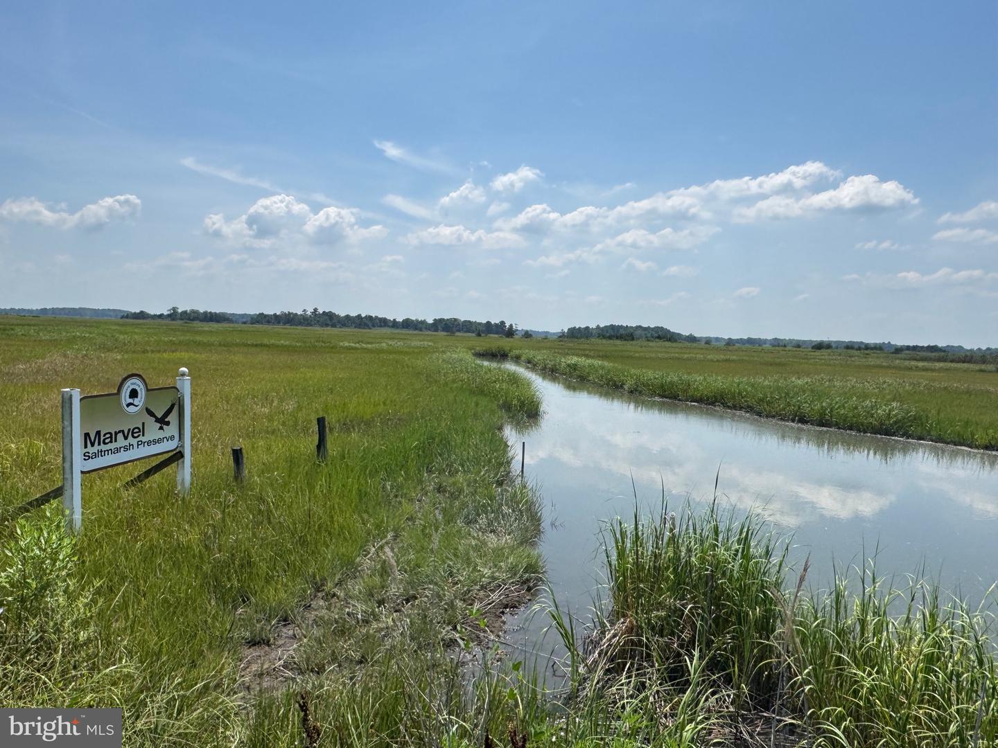 DESU2092034-804070560292-2025-08-13-19-03-04 128 Sawyer Rd | Milford, DE Real Estate For Sale | MLS# Desu2092034  - Jack Lingo REALTOR