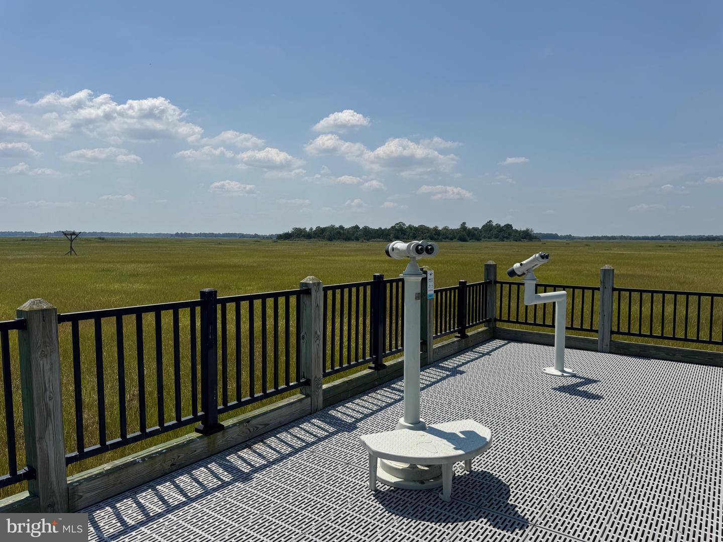 DESU2092034-804070560308-2026-03-05-18-47-25 128 Sawyer Rd | Milford, DE Real Estate For Sale | MLS# Desu2092034  - Jack Lingo REALTOR