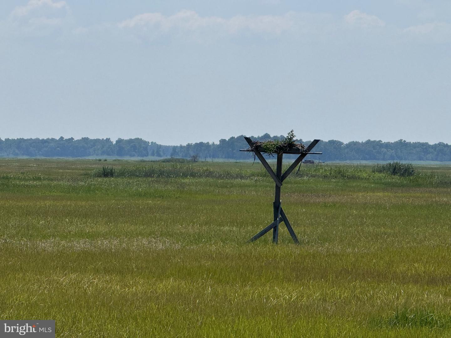 DESU2092034-804070560316-2026-03-05-18-47-25 128 Sawyer Rd | Milford, DE Real Estate For Sale | MLS# Desu2092034  - Jack Lingo REALTOR