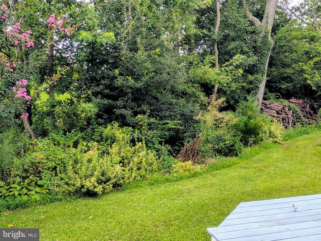 DESU2092488-804073068822-2025-08-14-10-37-49 16998 Jays Way | Milton, DE Real Estate For Sale | MLS# Desu2092488  - Jack Lingo REALTOR